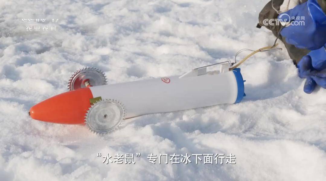 咔咔捞钱第一步,从掏出一个"水老鼠"开始_柳根鱼_楚斌