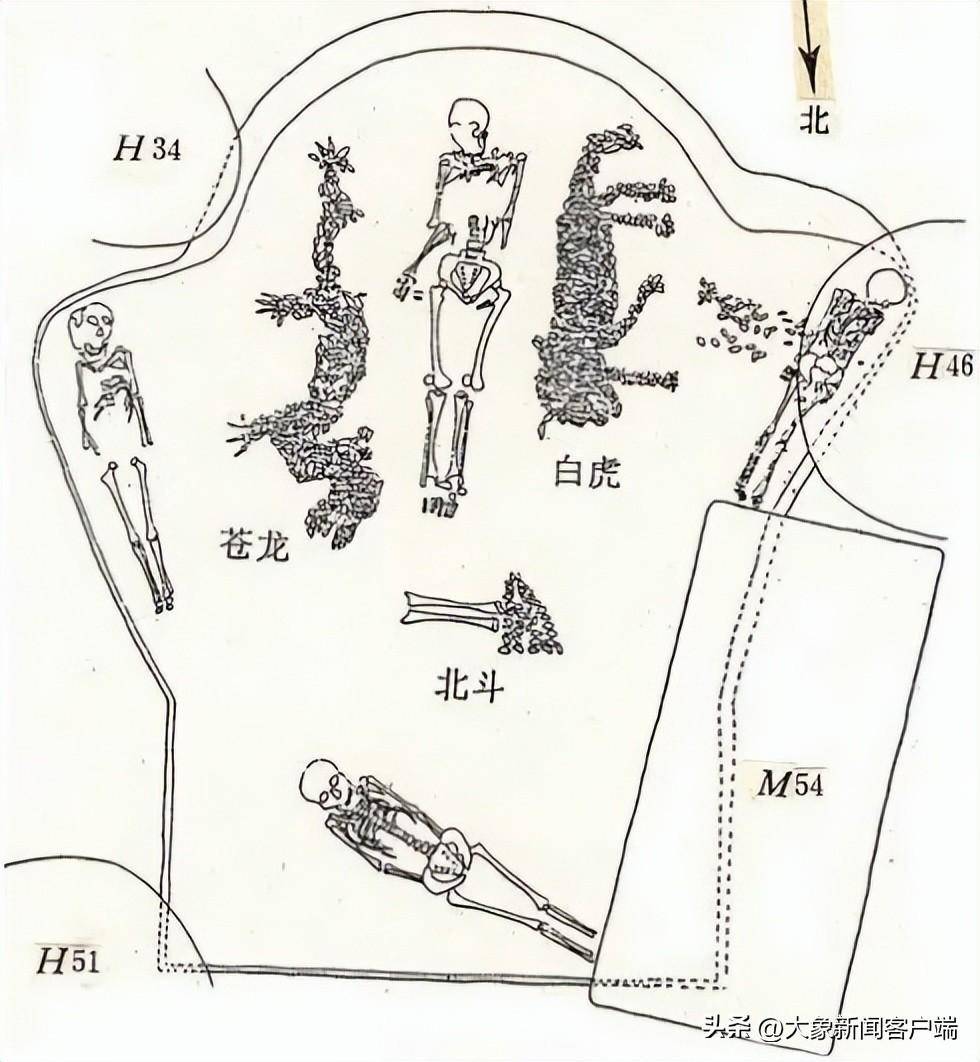 龙出河南|濮阳蚌塑龙——中国龙的正宗祖先_图案_天文学_北斗