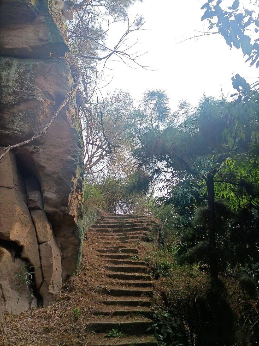 登葛仙山记1_王果_历史_柑橘