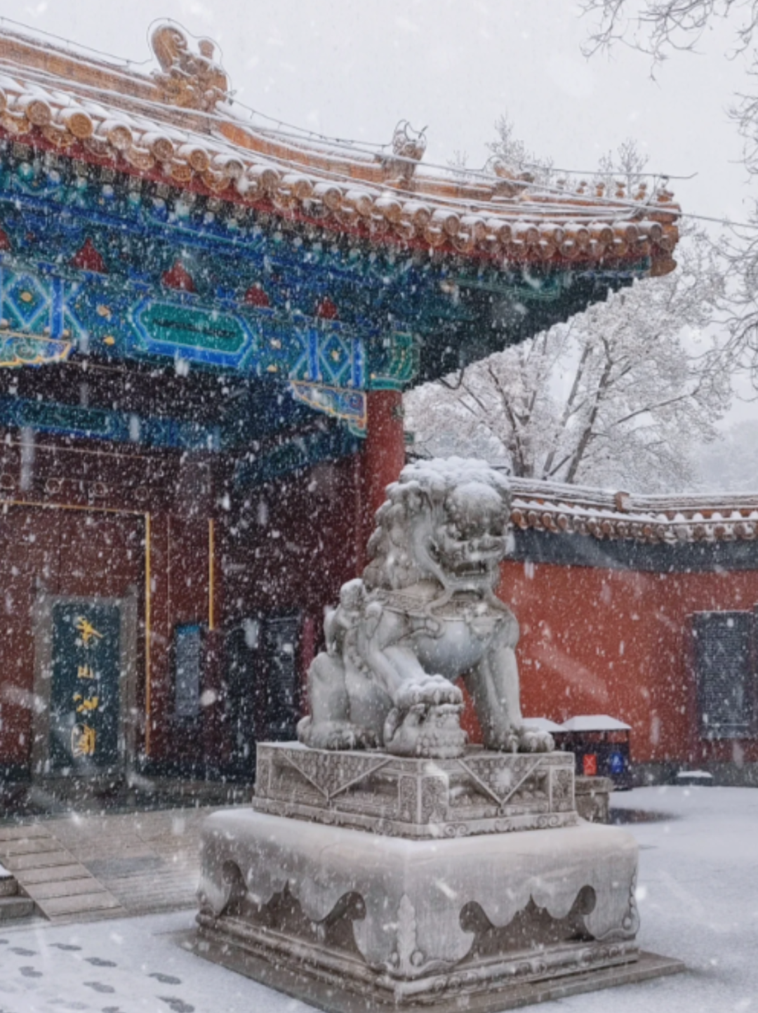 在这里,你将发现北京雪景的浪漫与唯美