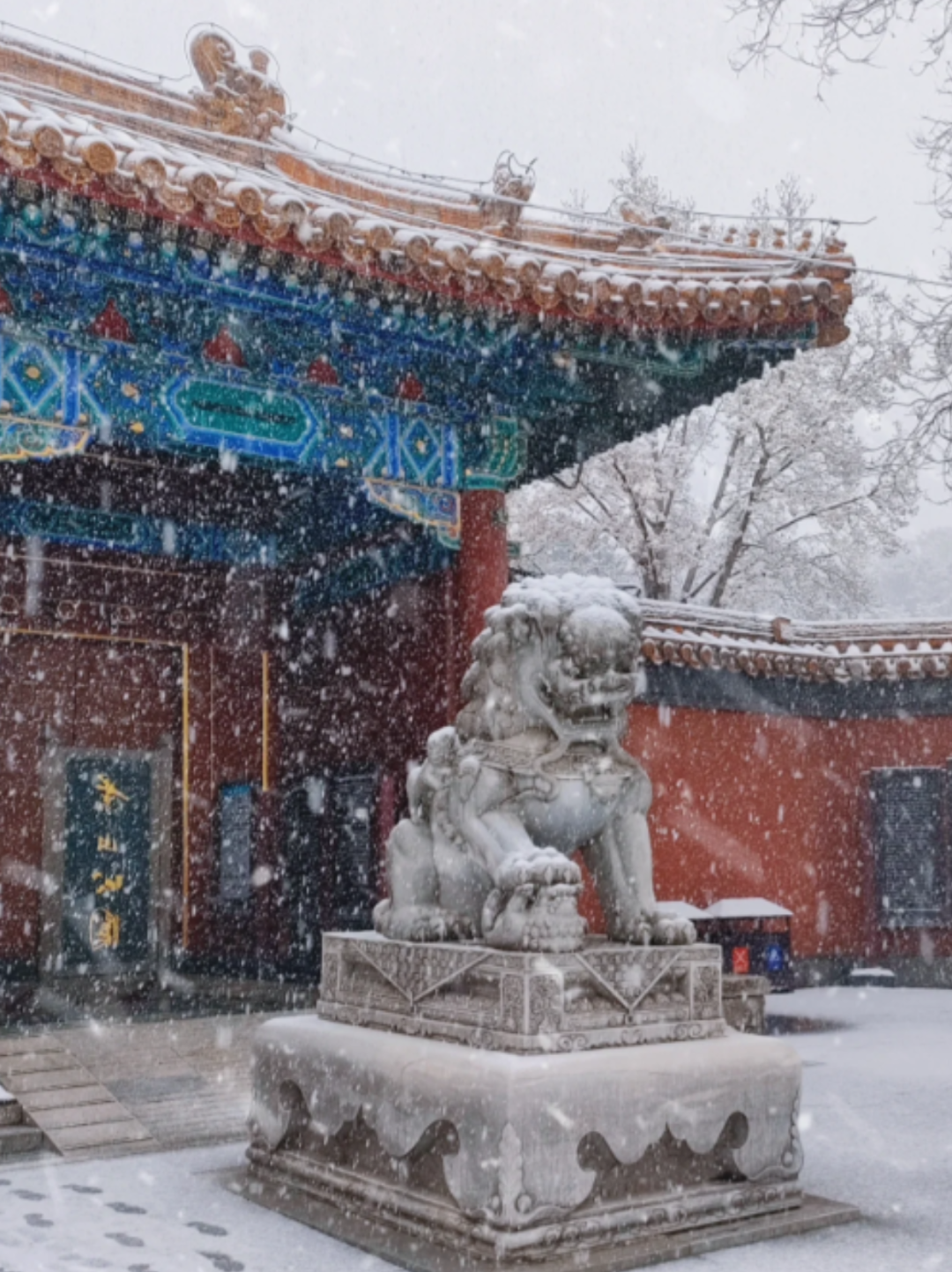 下雪的北京美疯啦 一场雪