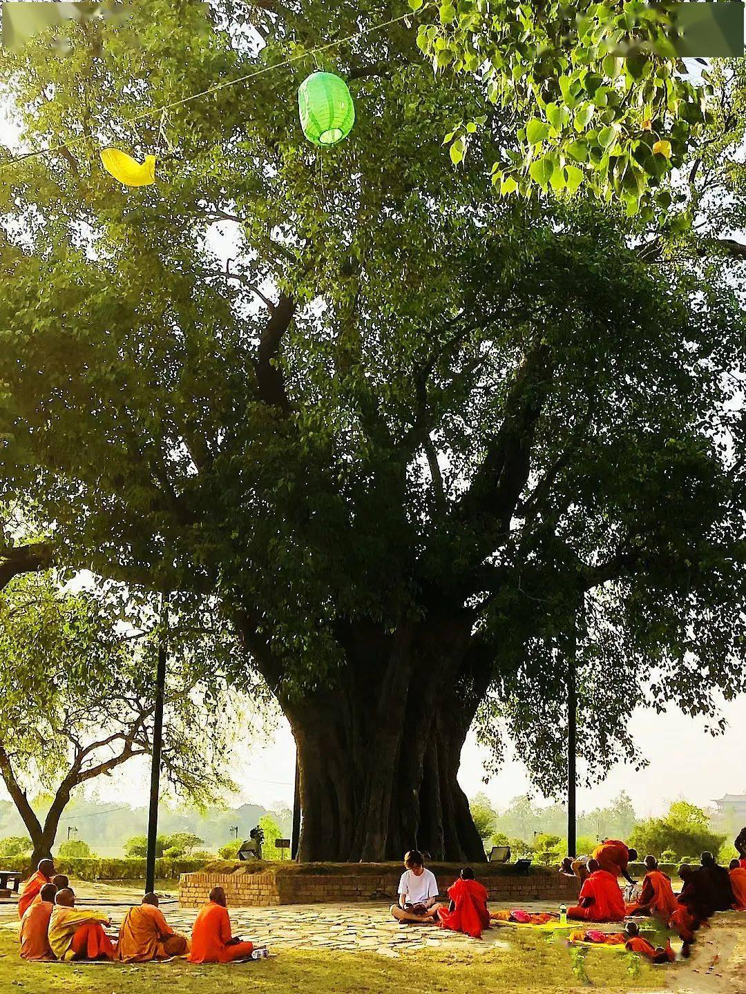 全年仅一次,去喜马拉雅南麓的尼泊尔,参加全球最"好色"节日-洒红节!