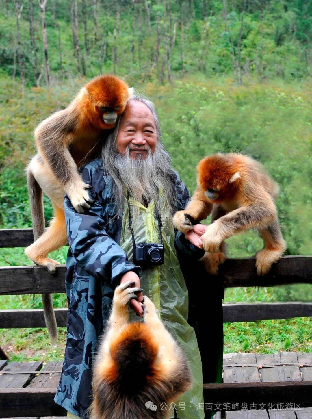喜迎"中国画猴第一人"徐培晨教授举办猿猴书画迎春展!