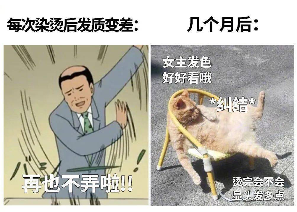 花2000元烫头,丑得我不敢回家过年_托尼_头发丝_发型