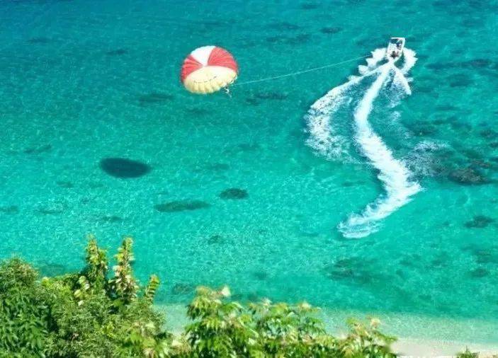 分界书屋到分界洲岛感受到大自然的壮丽与神秘,与海豚,海狮,海龟等