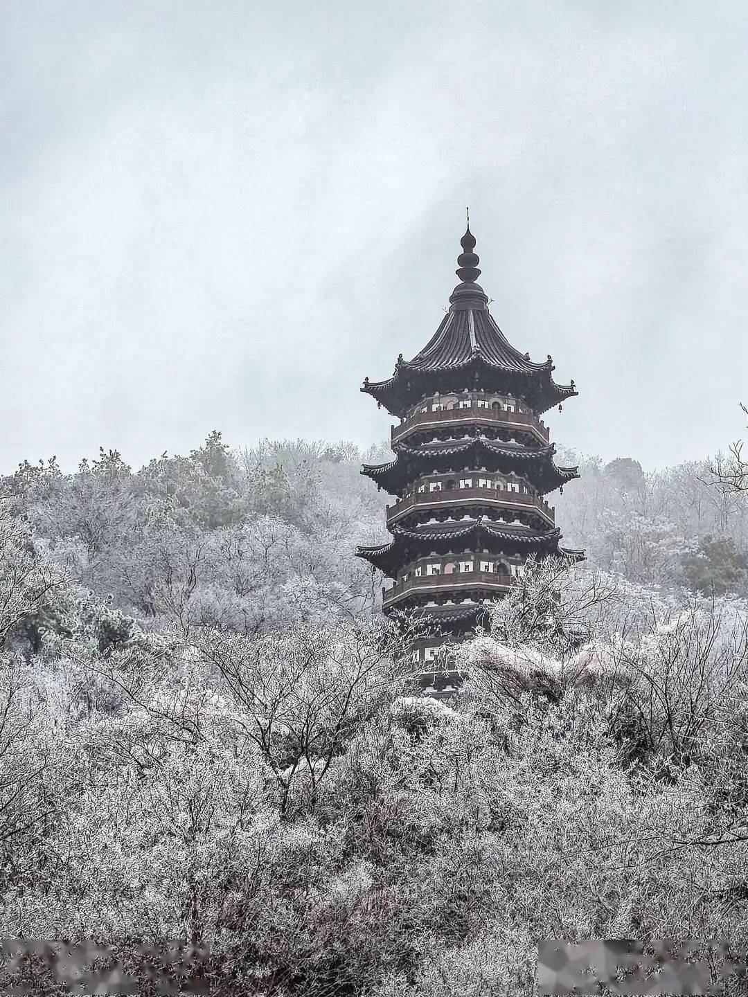 南京雪景紫金山图片