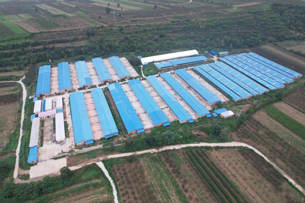 新春走基层|25本民情日记里的"新春盼"_群众_欧家城_潼关县