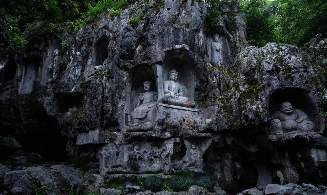 寻"春"迹,找"龙"痕;背古诗,怀"乐天"——金龙迎春,有!