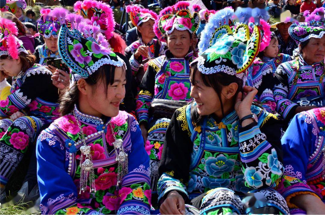 从乡村t台到世界舞台—— 楚雄彝族赛装文化的出山之路