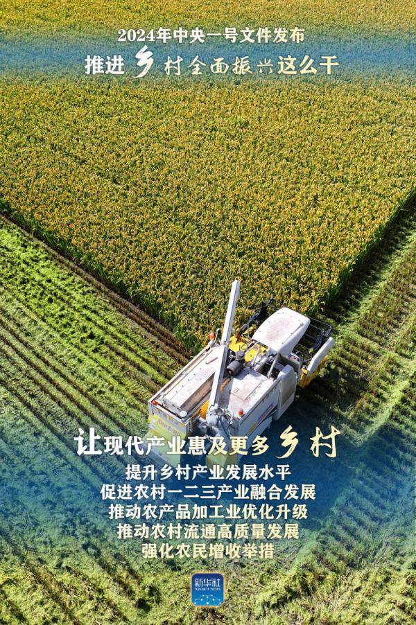 2024年中央一号文件:推进乡村全面振兴这么干_发展_建设_产业
