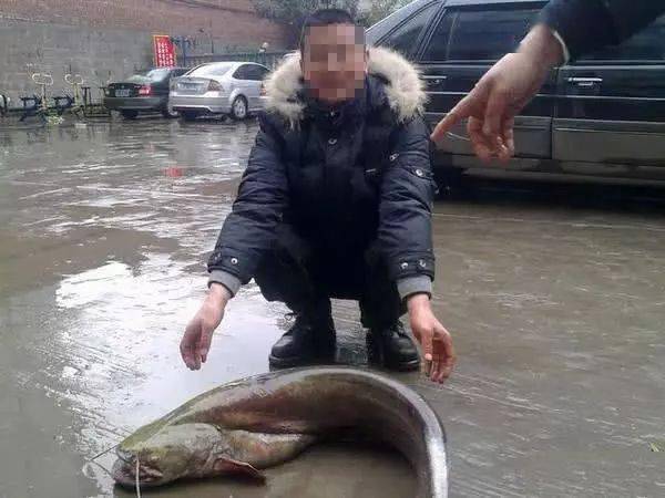 鲶鱼嘴巴的男人图片图片