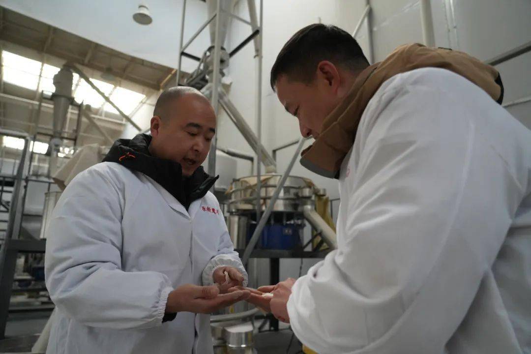 毕节这个特产有点"魔幻"_魔芋_威宁_马勋