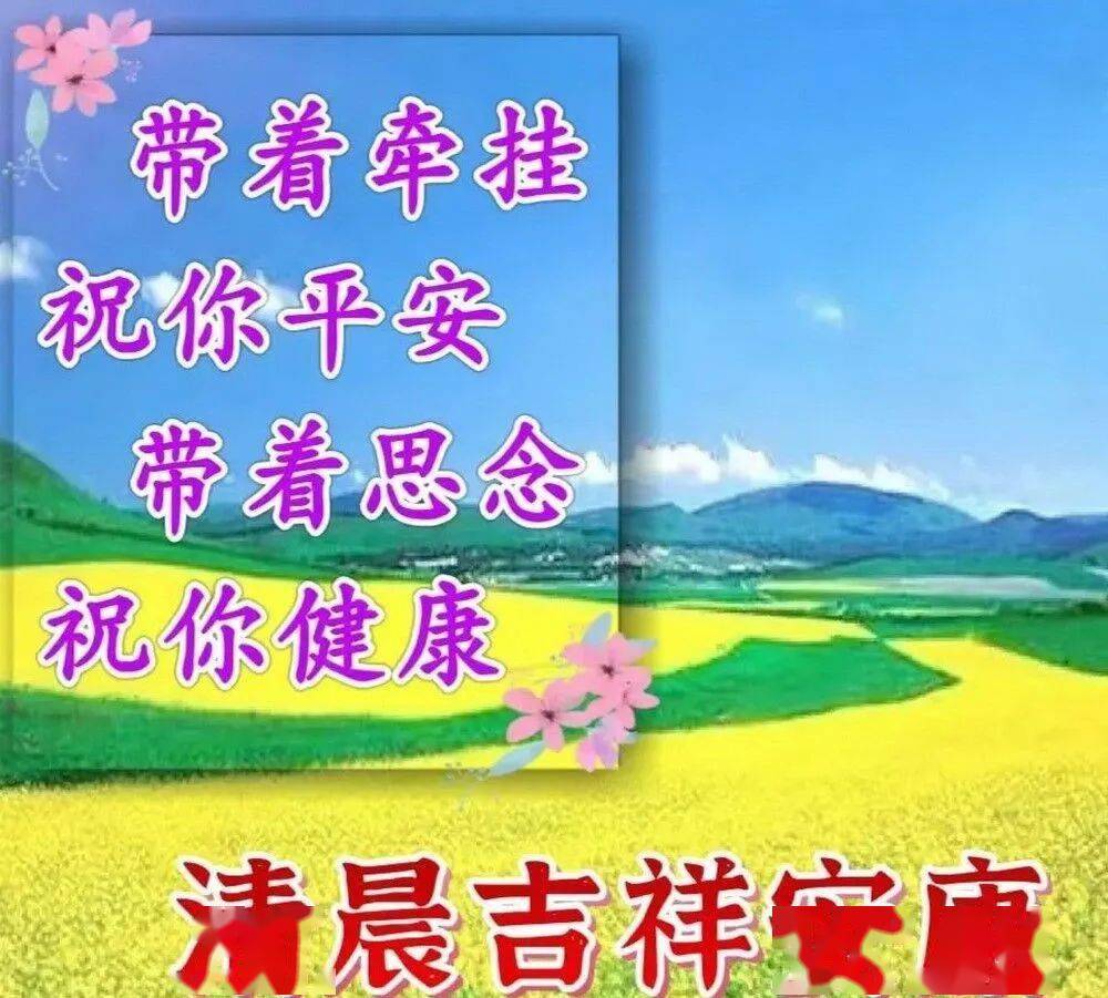 今天精美早上好温馨祝福语,今日最新早安祝福语图片