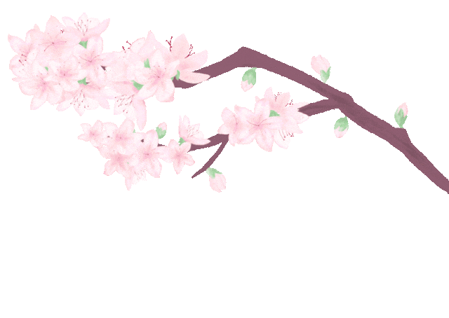 重磅开票 | 《四月是你的谎言》——"公生"与"薰"的小