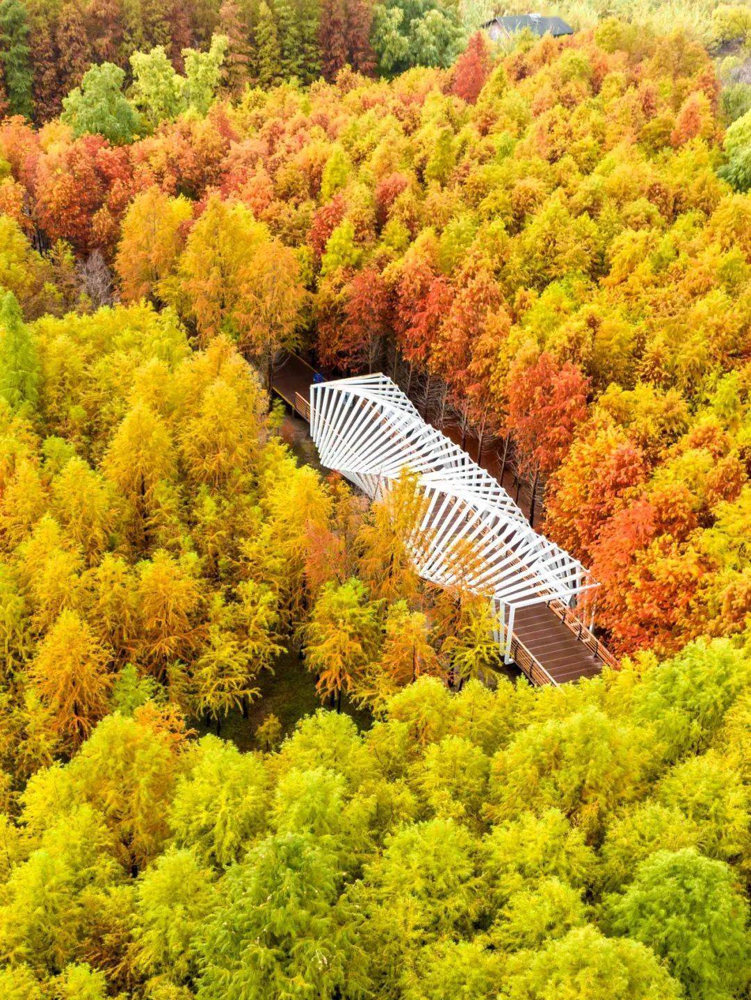 一波美图先来了解下