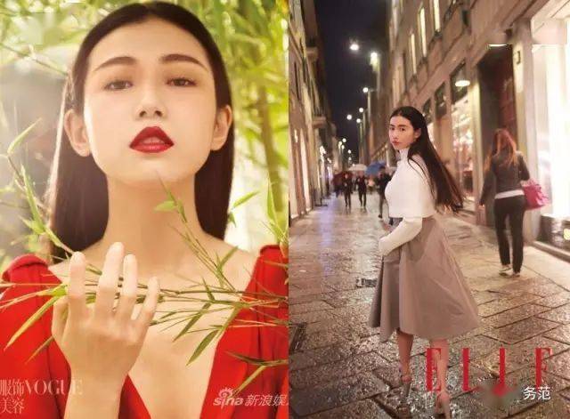 爆紅後的張辛苑,先後為《elle》,《vogue》,《時尚芭莎》等時尚雜誌