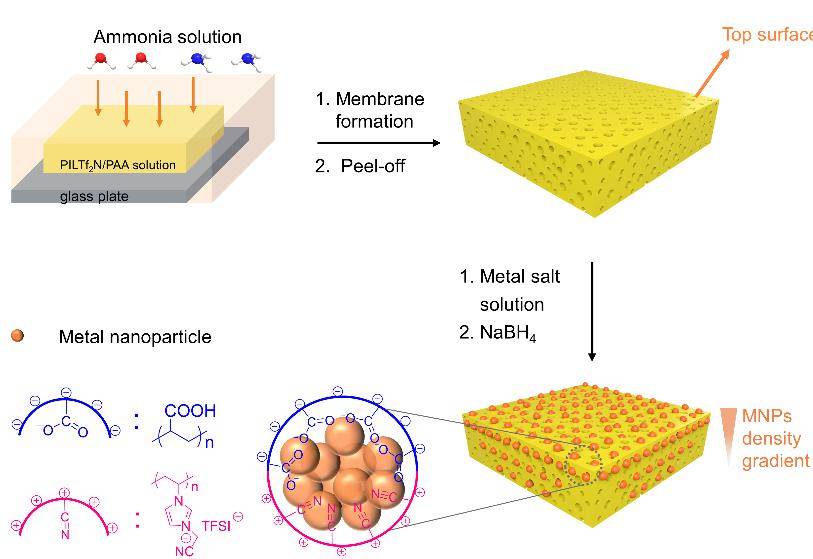 北理工孙建科mrc:具有金属纳米颗粒浓度梯度的聚离子