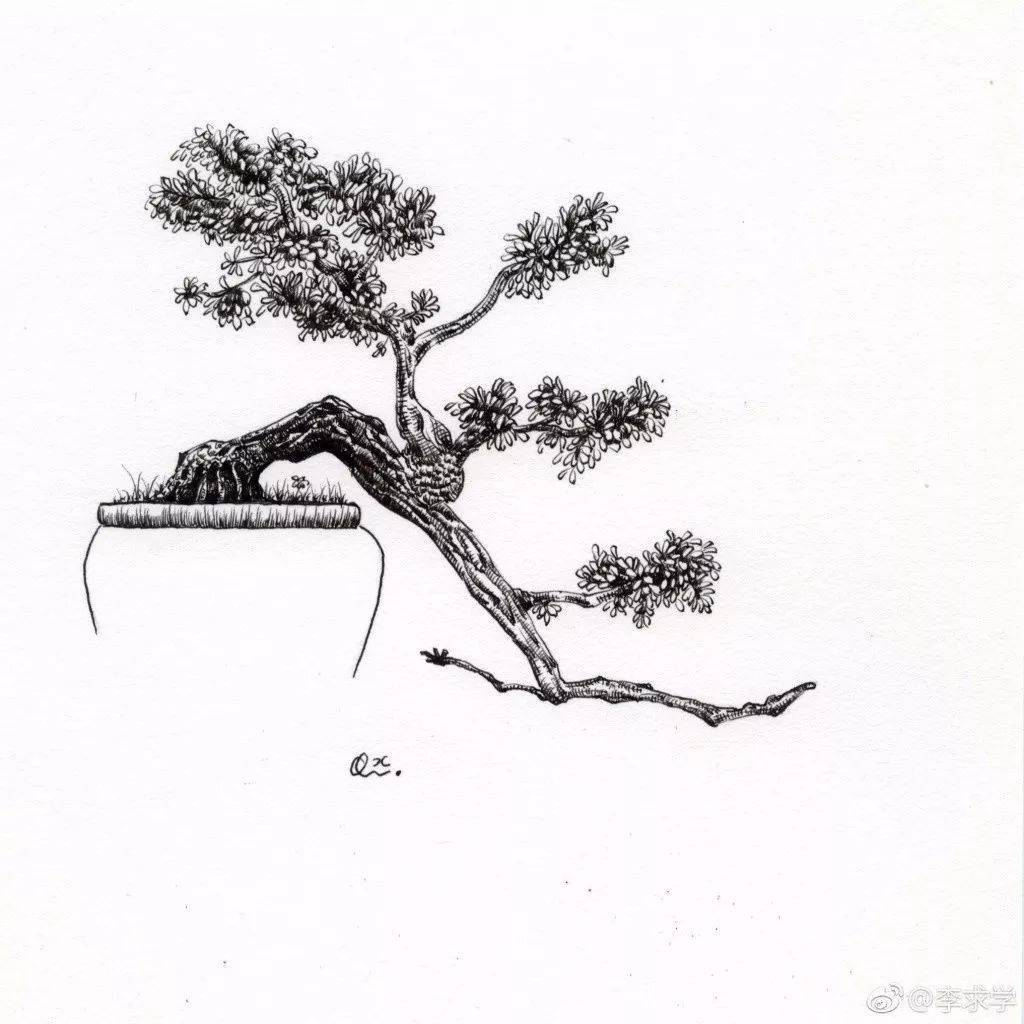 极简钢笔画合集,都这么简单了不信你学不会