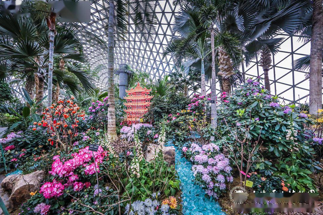 春节游辰山,开启一场繁花邂逅