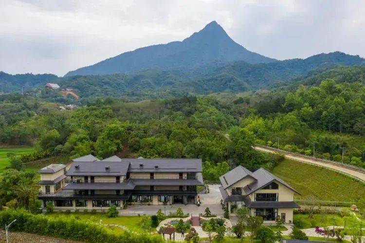 海南100家特色民宿评选结果出炉!五指山有→_旅游_游客_市场