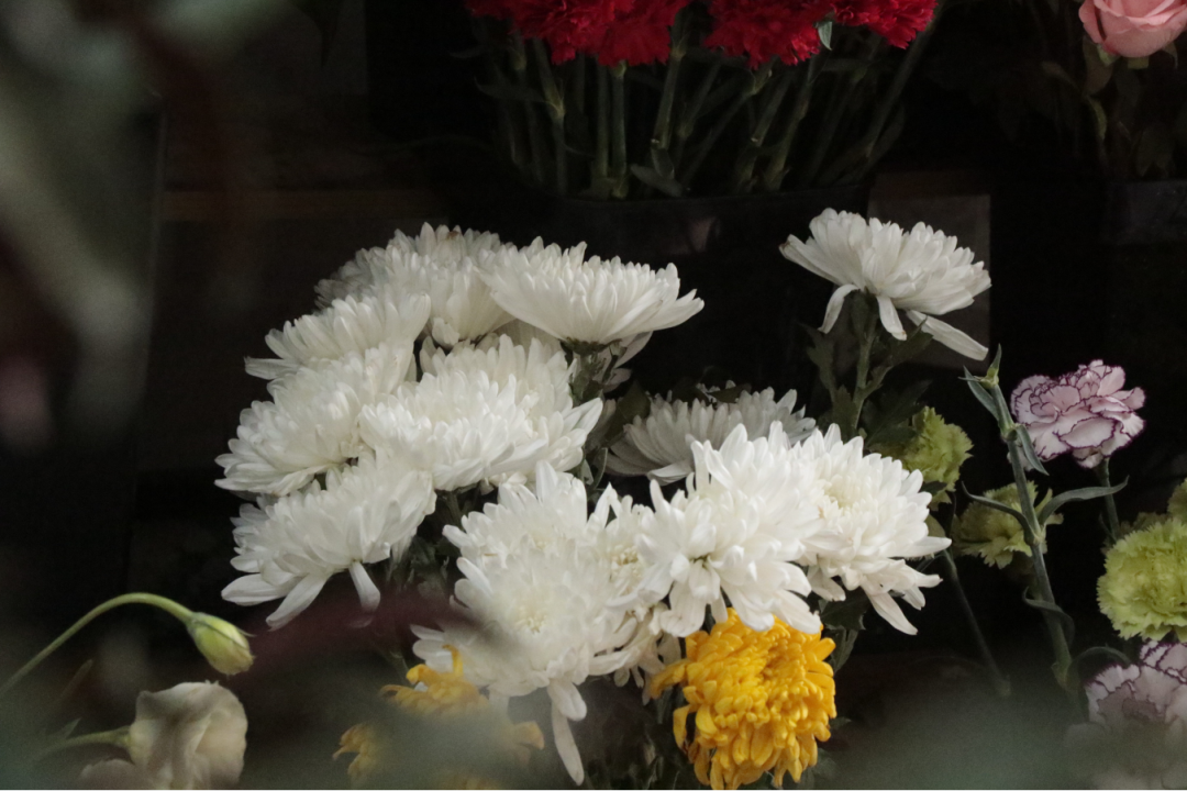 【文明绥阳】绥阳:一束鲜花寄哀思 绿色低碳新风尚_祭祀_环境_祖先