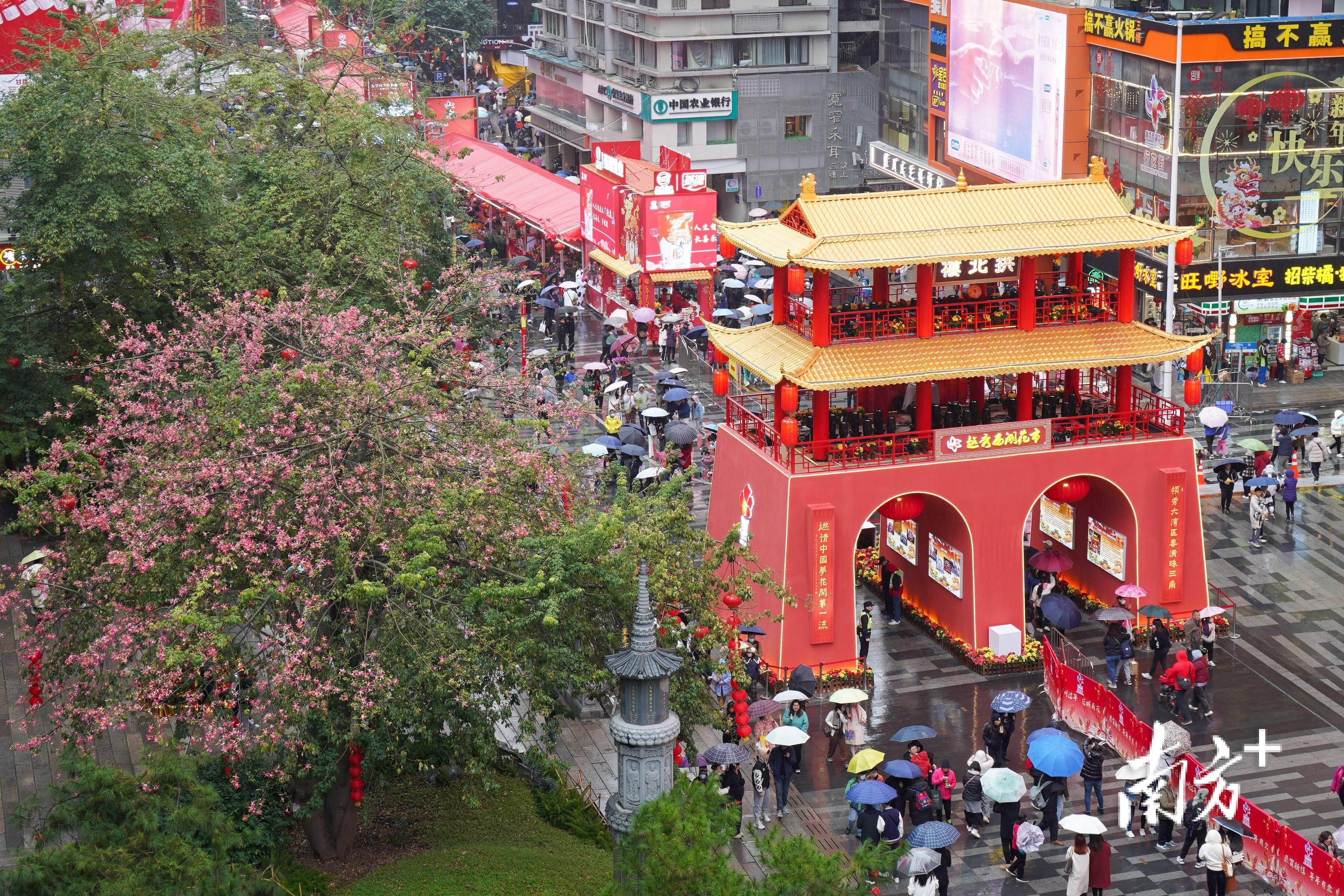 花城过年,花香满城|视界_花市_广州市_市民