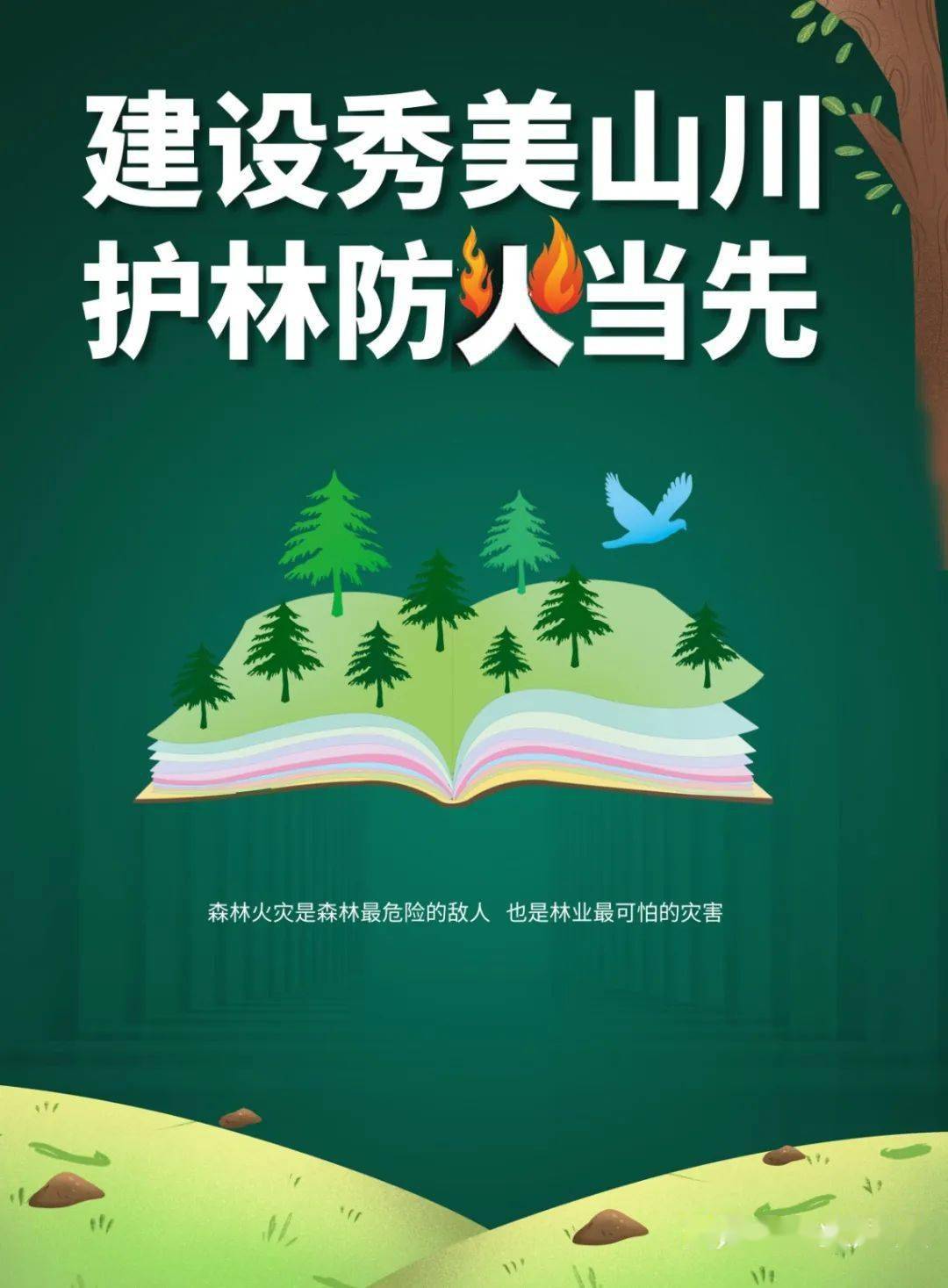 森林防火知识宣传_绿色家园_火灾_保护