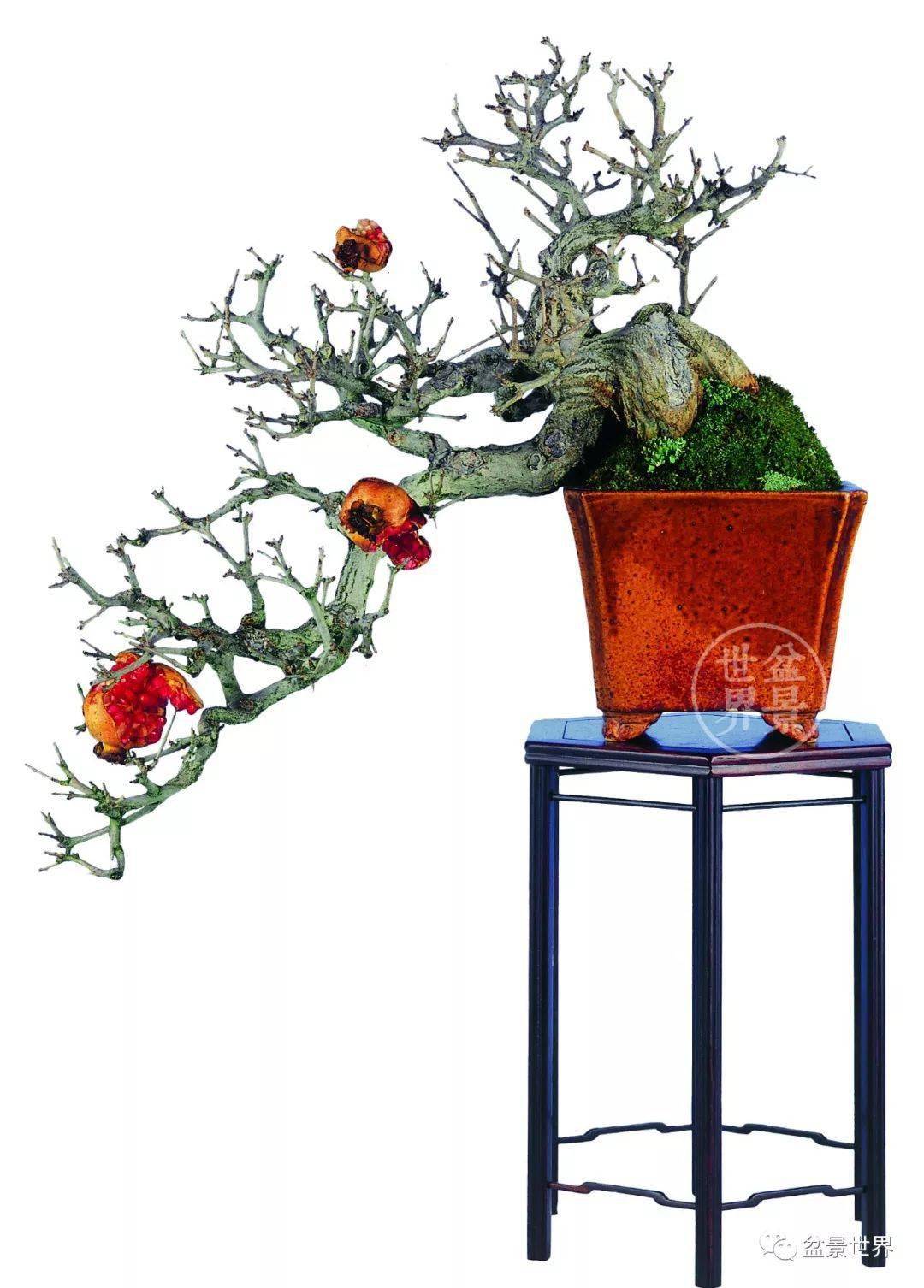 红红火火过大年_cm_作品_赵庆泉