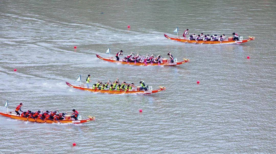 我市选派的苍南聚龙龙舟队和乐清市佳飞龙舟队代表男,女队分别取得了