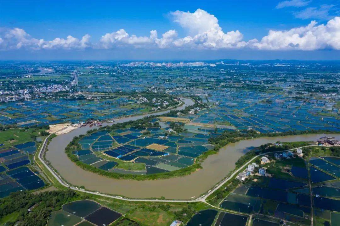 合浦县2024年的工作这么干_发展_项目_建设