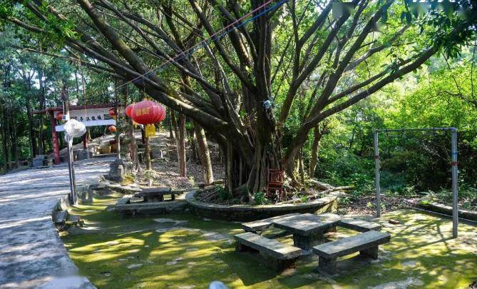 寻迹火炬文化|火炬也有条龙……_镇龙_社山_白袍