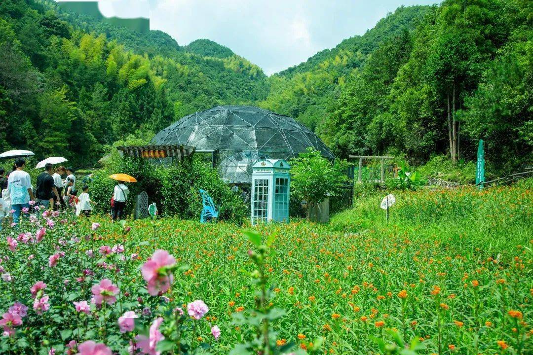 莲云谷温泉度假村温州玉龙山温泉度假村温州大峡谷温泉度假村精品民宿