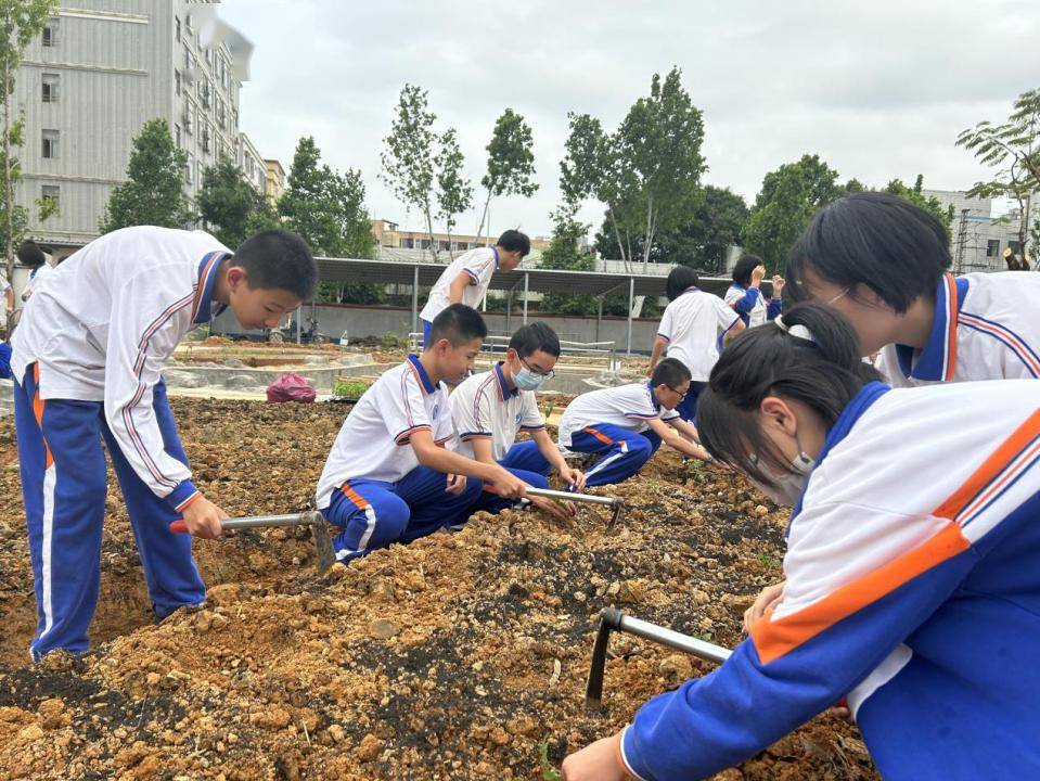 劳育寄语|清溪中学校长曹定钦:快乐劳动,品幸福"年味"_教育_东莞_种植