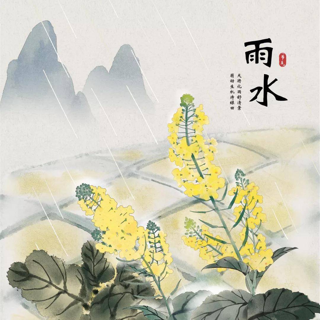 雨水节气图片大全唯美图片