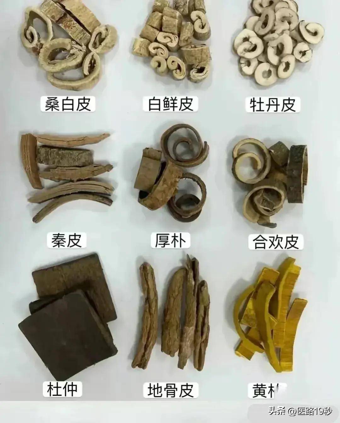 中药饮片是什么意思图片