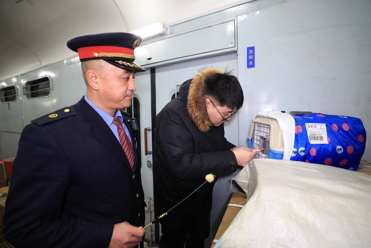 列车上的"宠物饲养员"_春雨_行李车_工作