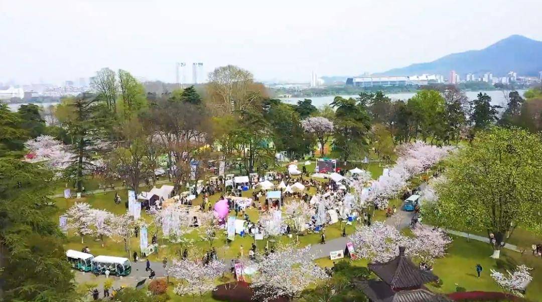 古老的"黑龙传说"在甲辰龙年南京人的城市花园玄武湖已然成为如今遛弯