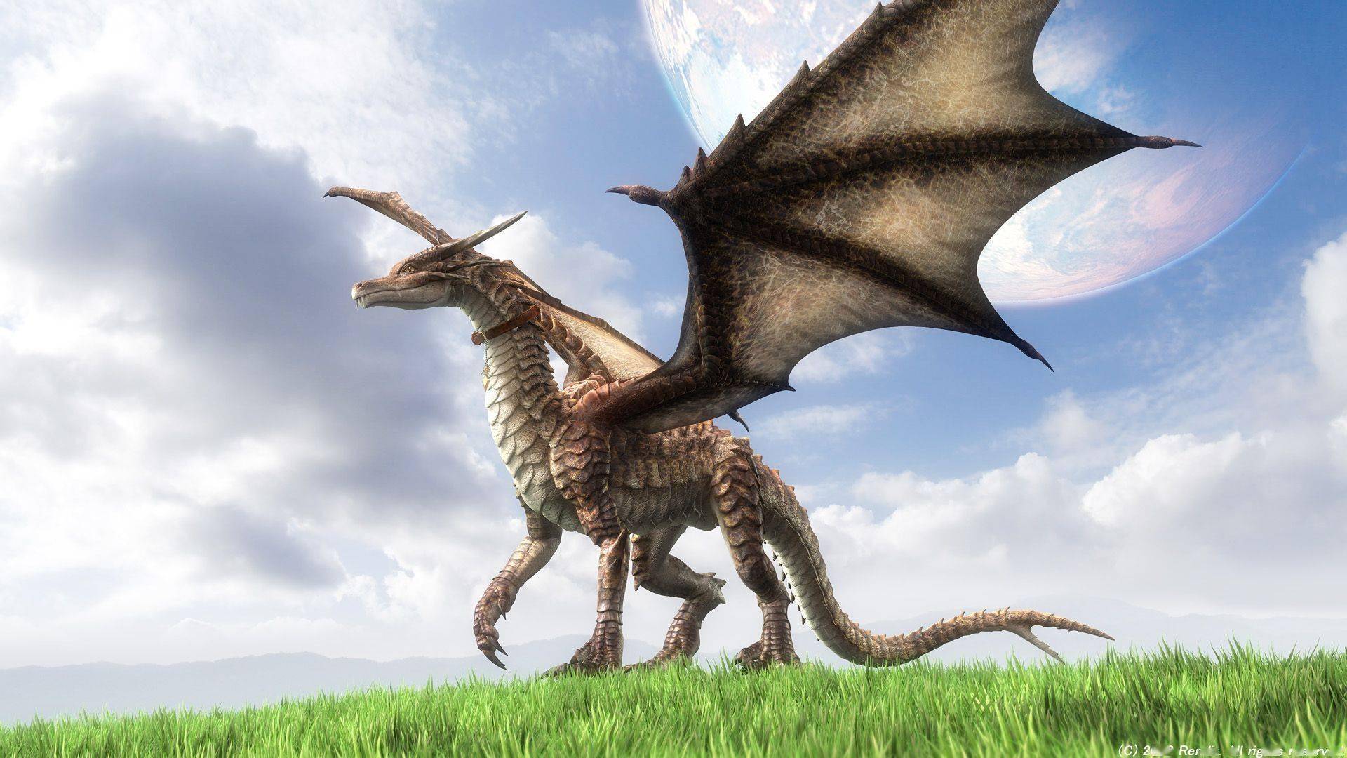 中国龙叫loong,那"恐龙"为啥也叫"龙"?_dragon_loong