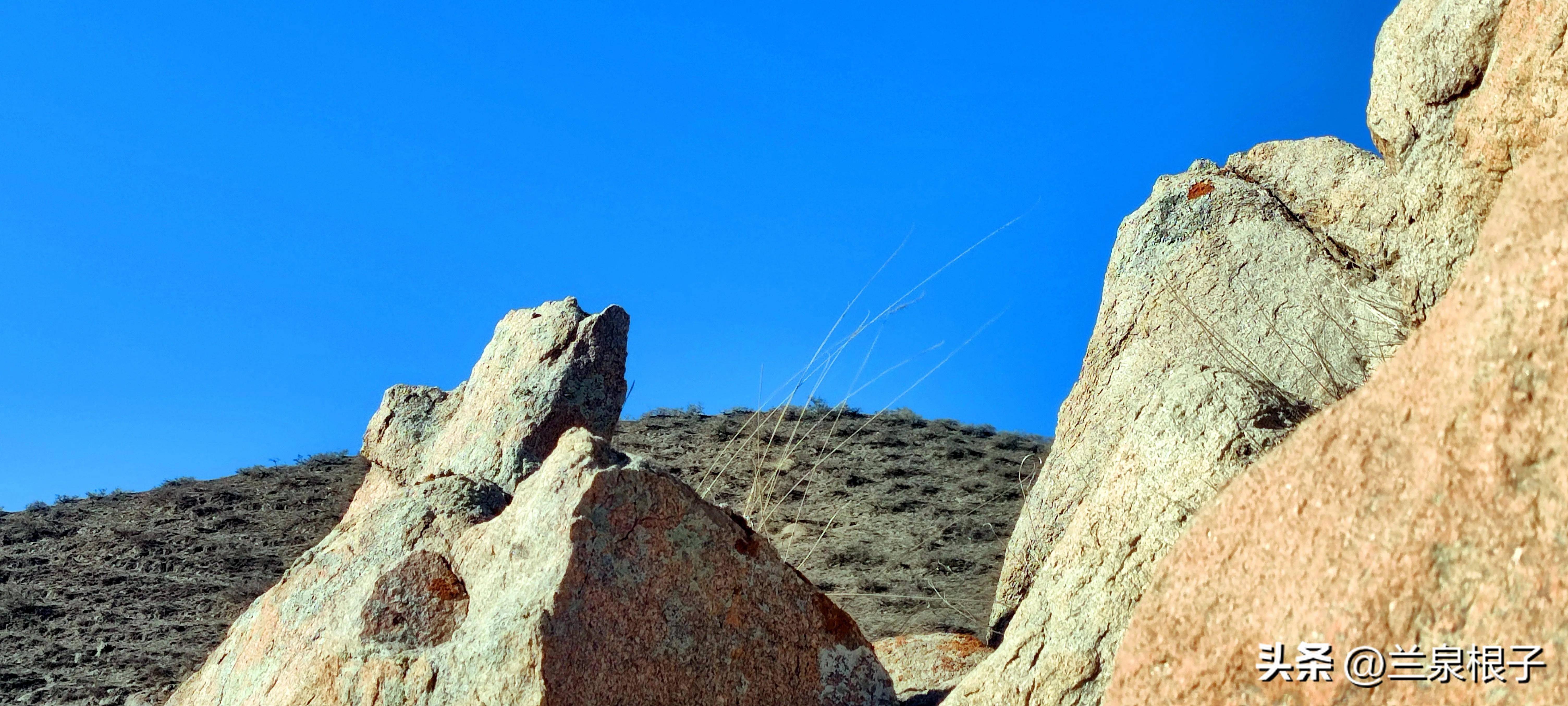 走进什川黄河大峡谷 感受大自然的鬼斧神工_白银_什川