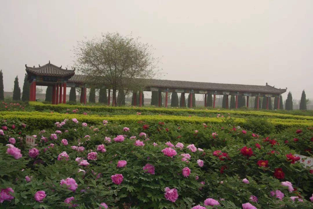 欢欢喜喜过大年| 柏乡县文旅推介_活动_文化_邢台