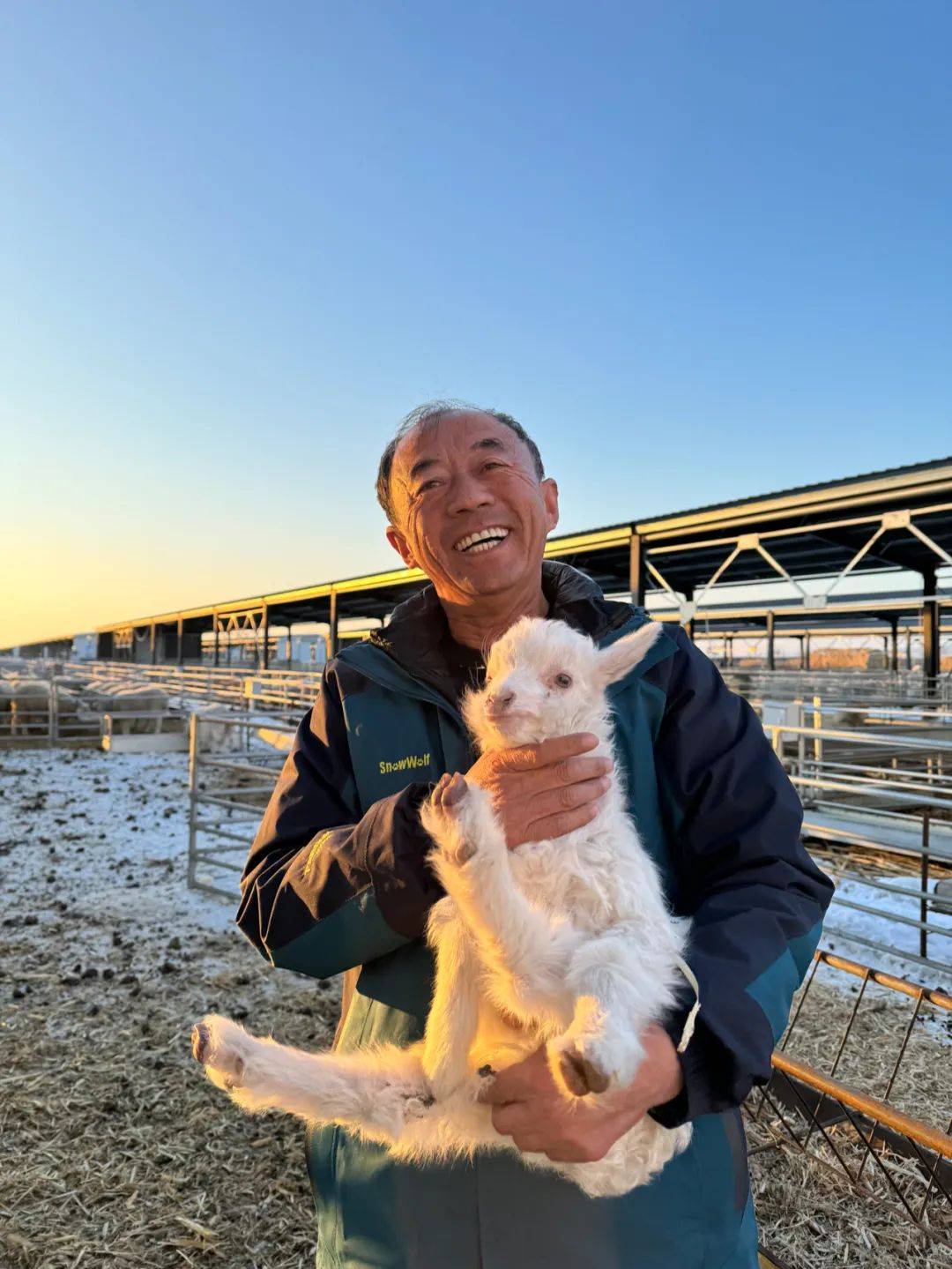 黄河"孤岛村"搬迁后的第一个春节_田家圪旦_侯明栓