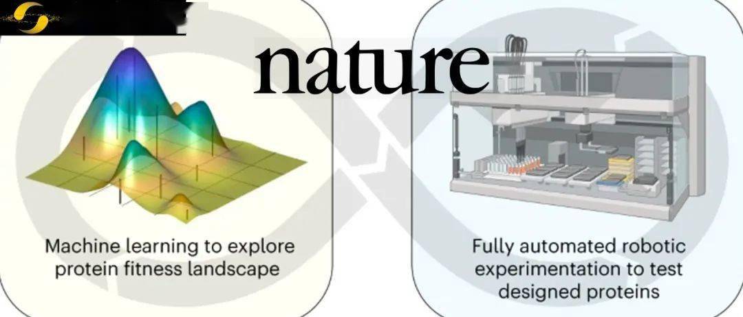 它能通過自主學習自行進行蛋白質設計,同時在實驗室裡自動