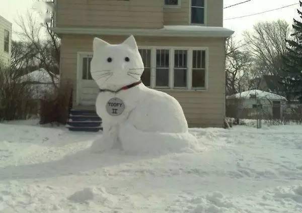 一場大雪降臨,全民都玩嗨了!