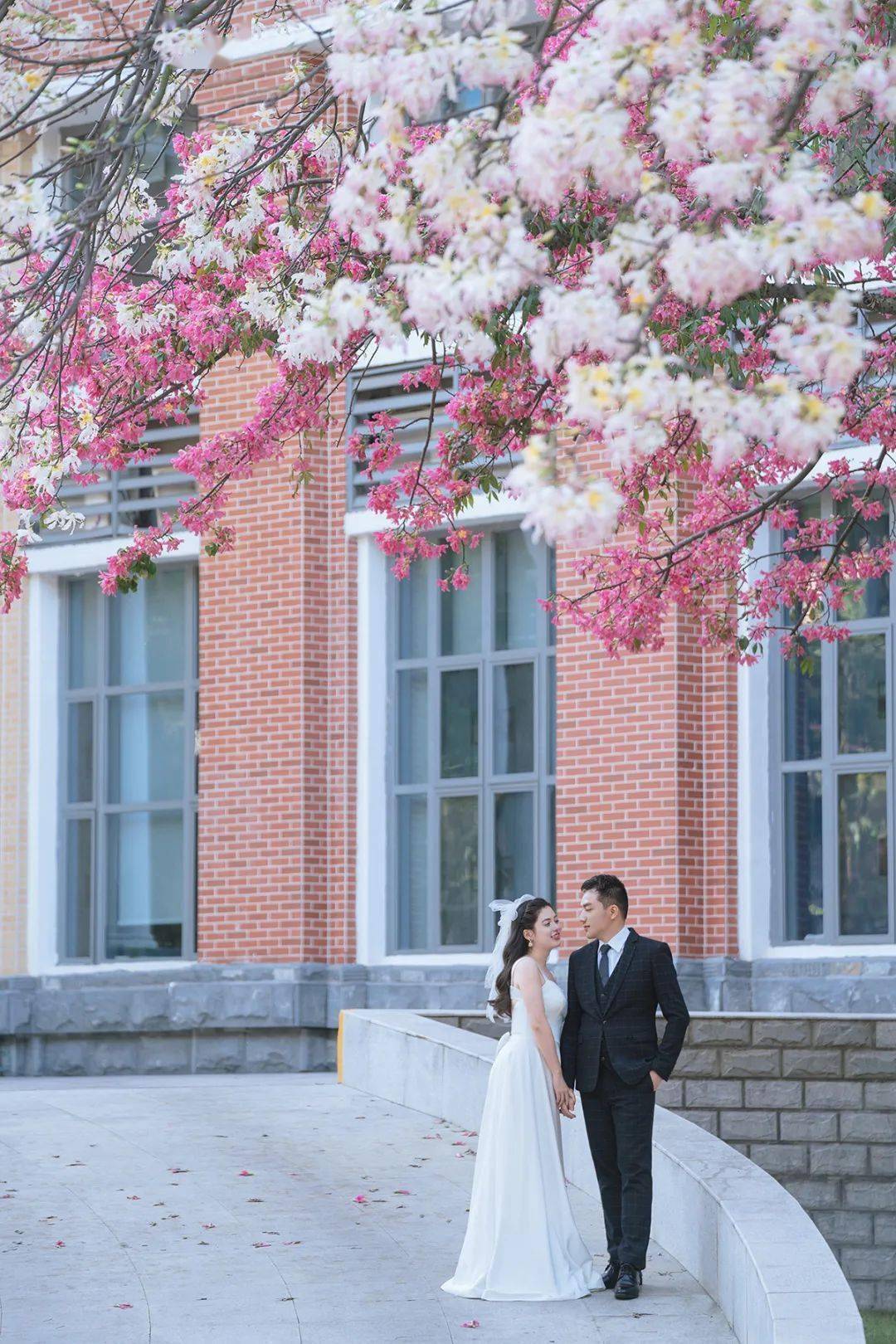 春暖花开,我想和你去中大拍婚纱照_校园_怀士堂_先生