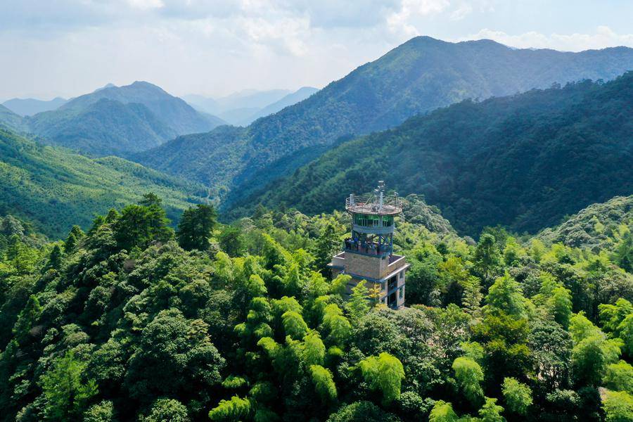 开年到大武夷探秘环带!好玩不踩雷!_古建筑_桐木村