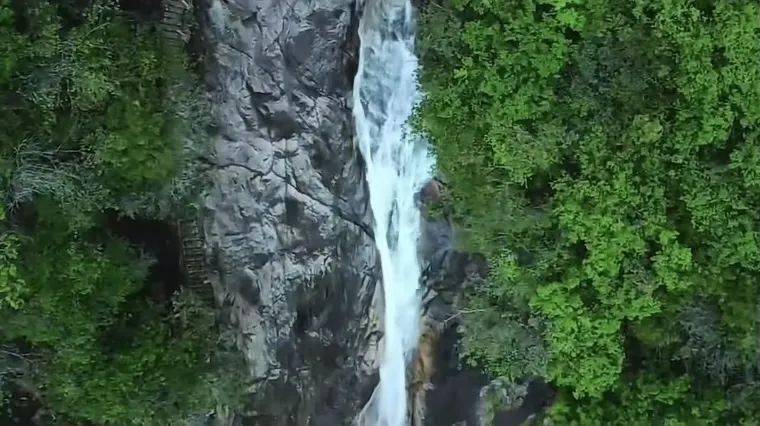 92 武夷山旅游服务繁花掩映,珍禽异兽,好不神奇龙川大峡谷92