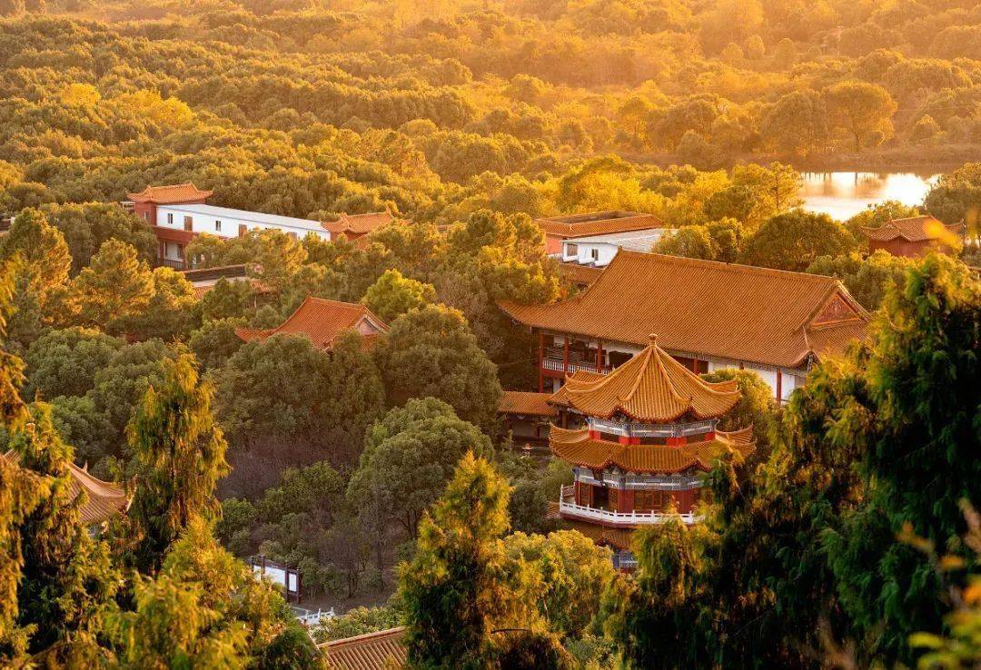 荆州古城荆州古城,古称江陵城,位于湖北省荆州市,地处长江中游,江汉