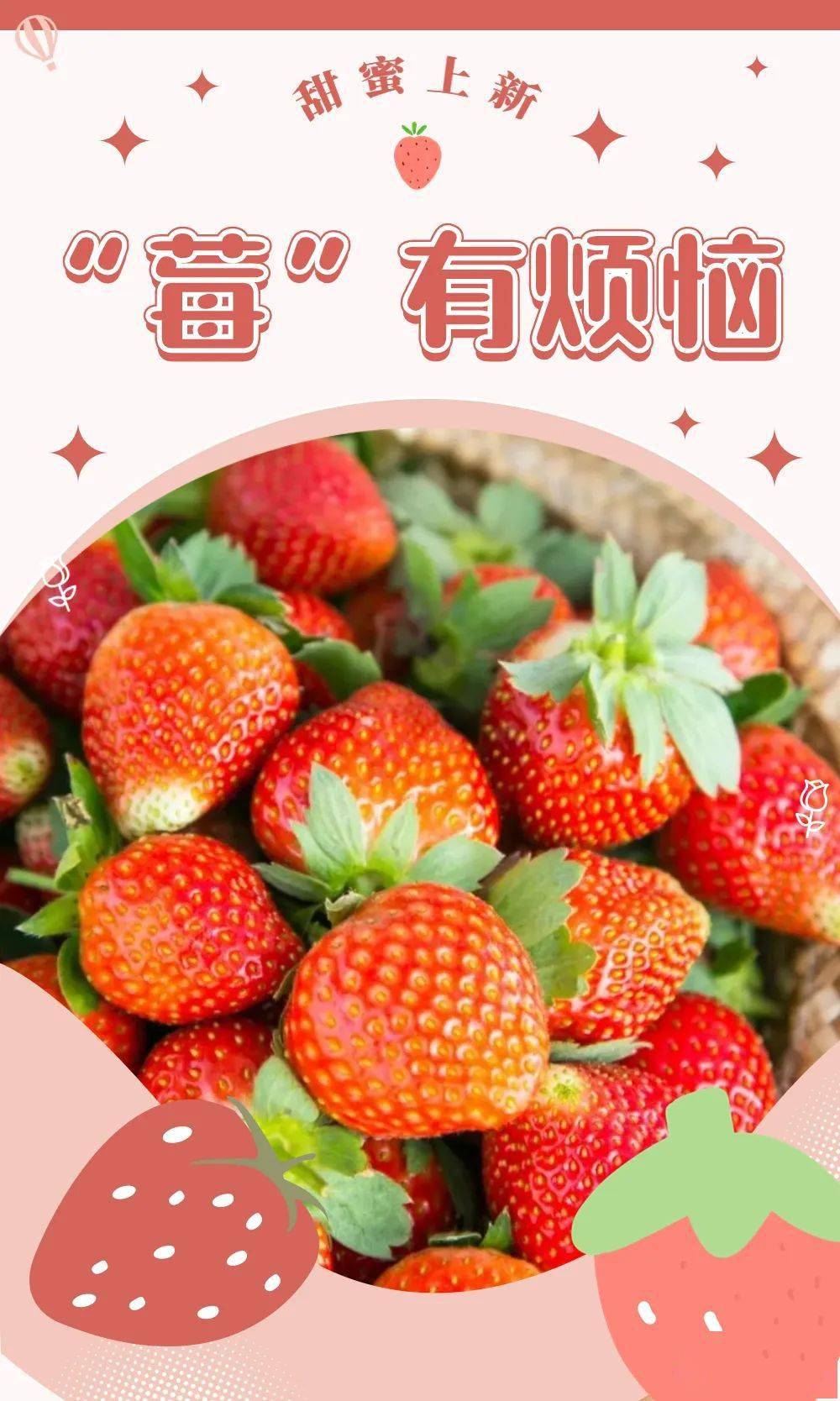 壁纸 矢量 水果 小果 植物 1000_1668 竖版 竖屏 手机