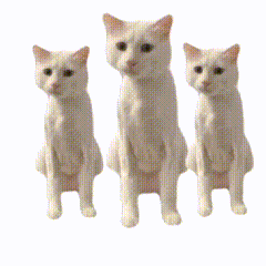 从风俗店打工,到春节迎财神,火遍全球的猫猫meme抄袭