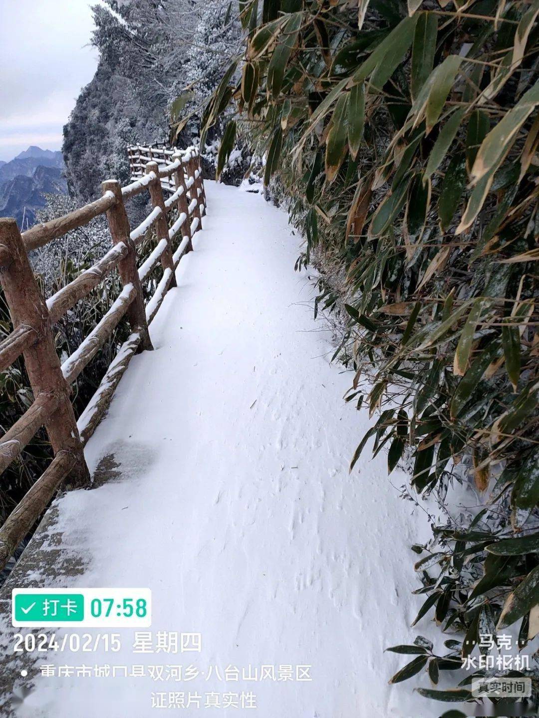 …一言不合就下雪↓↓↓咱们八台山景区又双叒叕